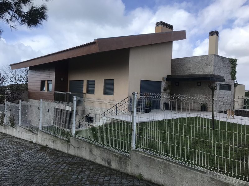 Lote 7
